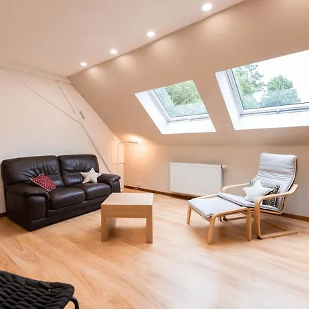 Entre Vignes Et Vosges * Lautenbach